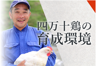 四万十鶏の育成環境