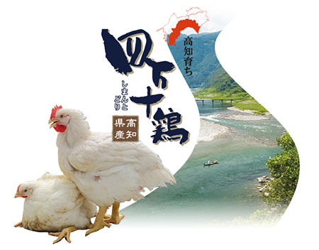 四万十鶏イメージ
